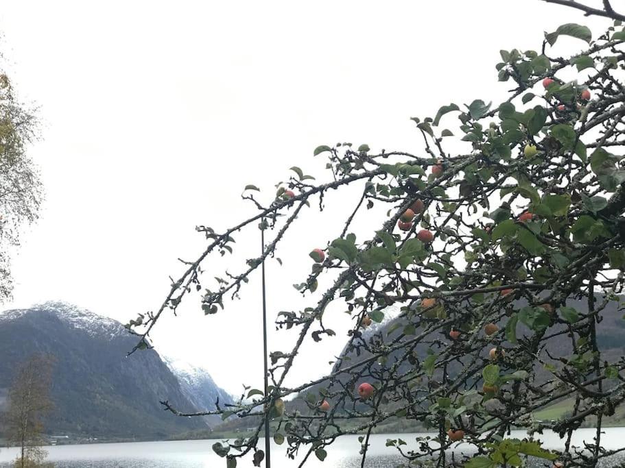 Apartment With Lake View In Jolster Ardal  Bagian luar foto